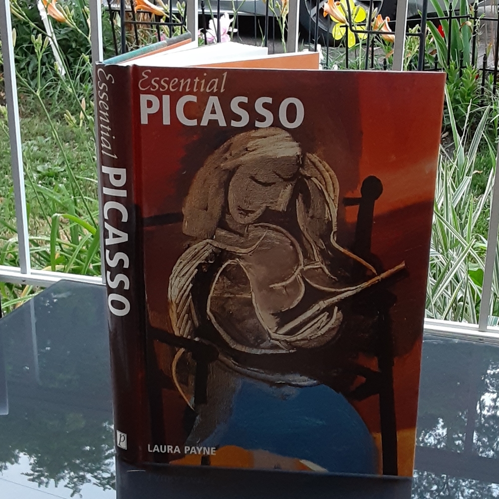 8.5" x 11" picasso book